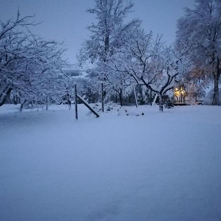 MondavioSotto L'Ulivo住宿加早餐旅馆 外观 照片