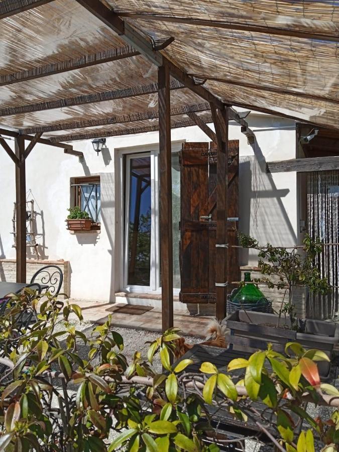 MondavioSotto L'Ulivo住宿加早餐旅馆 外观 照片