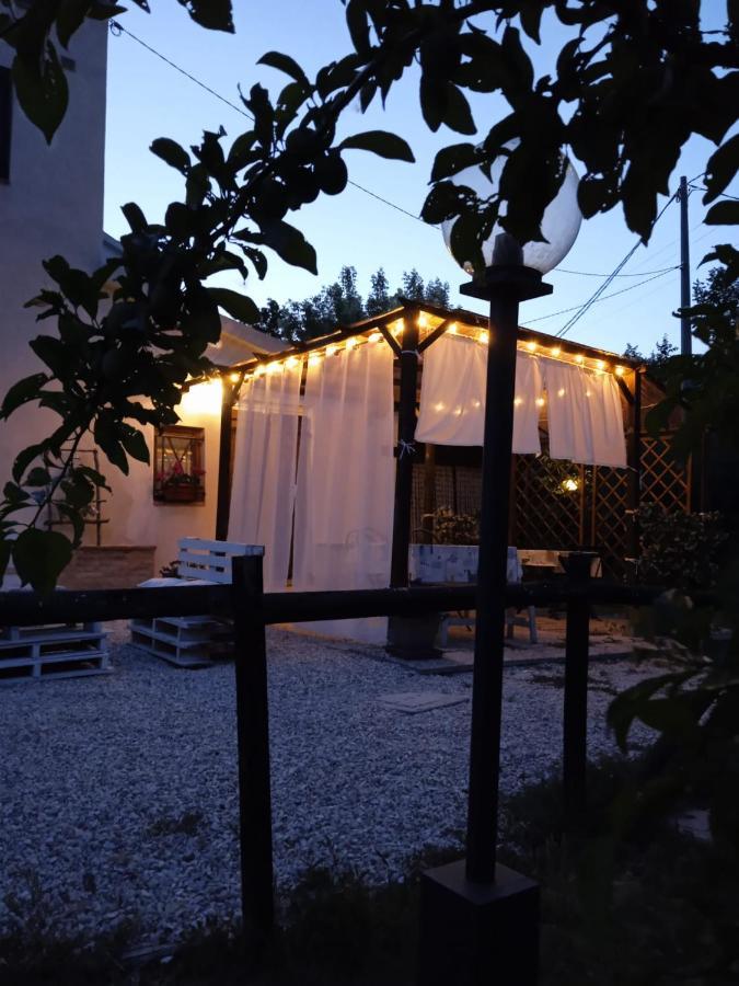 MondavioSotto L'Ulivo住宿加早餐旅馆 外观 照片