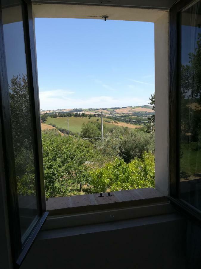 MondavioSotto L'Ulivo住宿加早餐旅馆 外观 照片